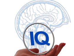 IQ Tidak Terlalu Berpengaruh terhadap Kesuksesan di Masa Depan