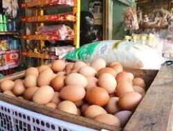 Satgas Pangan Imbau Pedagang Jual Bahan Pokok Sesuai Harga yang Wajar