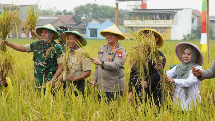 Panen Padi Rorotan Perkuat Ketahanan Pangan