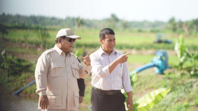 Resmi! Amran Sulaiman Kepala Bapanas, Kementan dan Bapanas