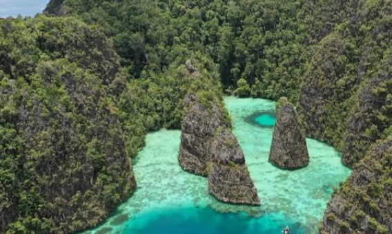 Isu HAM Papua di Internasional, Standar Ganda NGO Jenewa, Febrian Ruddyard, Bappenas, PTRI, Hak Asasi Manusia