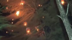 Lampion Jatuh di Pantai Gua Cemara Bantul