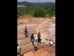 PT Srinding Sumber Makmur Gusur Rumah Warga Demi Ambisi Emas